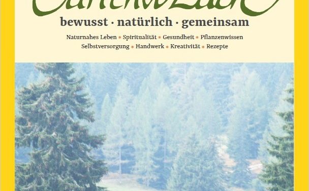 Ausgabe Nr. 171